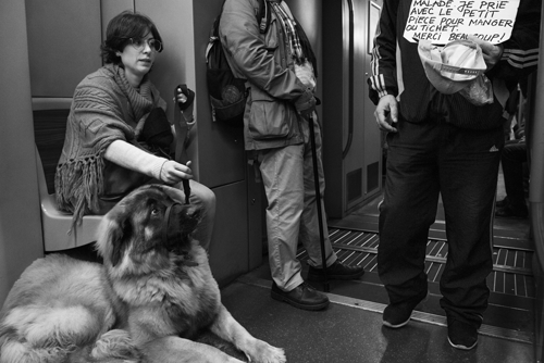 Brussel En route © Bram Penninckx